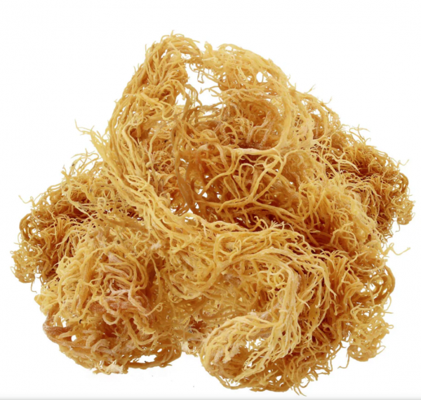 Pempamsie Golden Seamoss 1kg