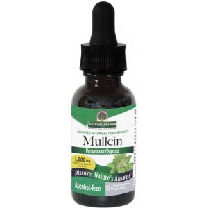 Natural Sources Mullein Leaf Extract Drops Tincture 50ml