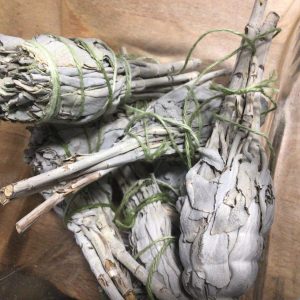 White Sage Torch Smudge Stick