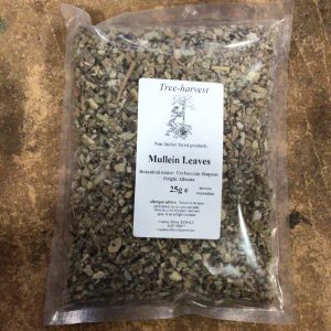 Tree Harvest Mullein Leaves - various sizes