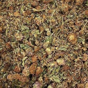 Tree Harvest Red Clover Flowers